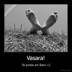 Vasara! - Tai poilsis ant šieno =)