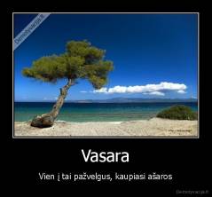 Vasara - Vien į tai pažvelgus, kaupiasi ašaros