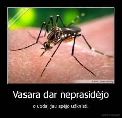 Vasara dar neprasidėjo - o uodai jau spėjo užknisti.