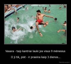 Vasara - taip kantriai lauki jos visus 9 mėnesius - O ji tik, pist - ir praeina kaip 3 dienos...