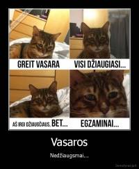 Vasaros - Nedžiaugsmai...