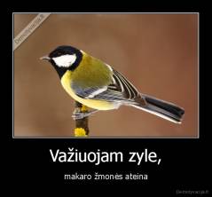 Važiuojam zyle, - makaro žmonės ateina