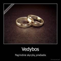 Vedybos - Pagrindinė skyrybų priežastis