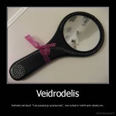 Veidrodelis - Niekada neklausk "Kas pasaulyje graziausias", nes sulauksi netinkamo atsakymo 