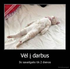 Vėl į darbus - Iki savaitgalio tik 2 dienos
