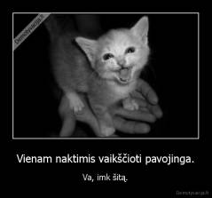 Vienam naktimis vaikščioti pavojinga. - Va, imk šitą.