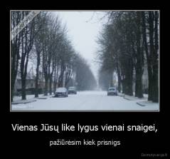 Vienas Jūsų like lygus vienai snaigei, - pažiūrėsim kiek prisnigs