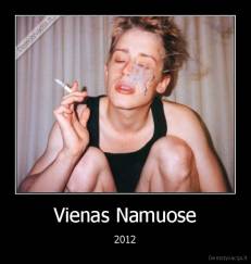 Vienas Namuose - 2012