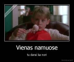 Vienas namuose - tu darai ka nori