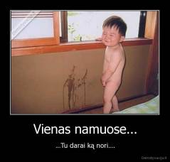 Vienas namuose... - ...Tu darai ką nori....