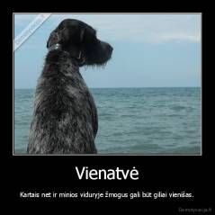 Vienatvė - Kartais net ir minios viduryje žmogus gali būt giliai vienišas.