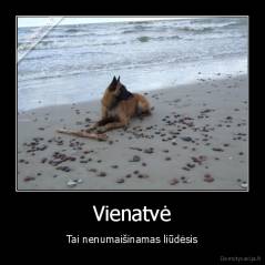 Vienatvė - Tai nenumaišinamas liūdėsis