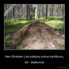 Vieni žiūrėdami į skruzdėlyną mokosi darbštumo, - kiti - blaškymosi