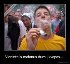 Vienintelis malonus dumų kvapas.... - 