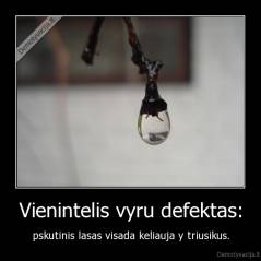 Vienintelis vyru defektas: - pskutinis lasas visada keliauja y triusikus.