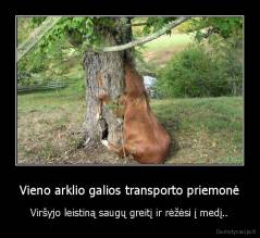 Vieno arklio galios transporto priemonė - Viršyjo leistiną saugų greitį ir rėžėsi į medį..