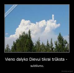 Vieno dalyko Dievui tikrai trūksta -  -  subtilumo.