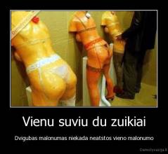 Vienu suviu du zuikiai - Dvigubas malonumas niekada neatstos vieno malonumo
