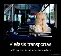 Viešasis transportas - Meilė iš pirmo žvilgsnio kiekvieną dieną