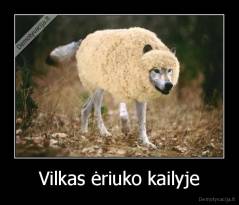 Vilkas ėriuko kailyje - 