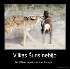 Vilkas Šuns nebijo - tik Vilkui nepatinka kai Jis loja...
