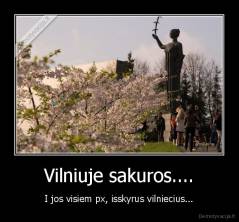 Vilniuje sakuros.... - I jos visiem px, isskyrus vilniecius...