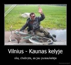 Vilnius - Kaunas kelyje - olia, chebryte, as jau pusiaukelėje