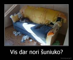 Vis dar nori šuniuko? - 