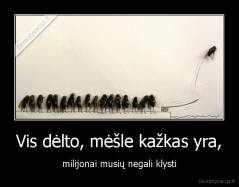 Vis dėlto, mėšle kažkas yra, - milijonai musių negali klysti