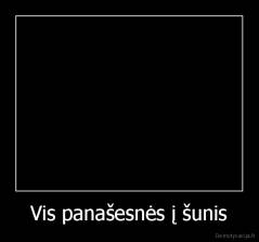 Vis panašesnės į šunis - 