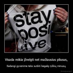 Visada reikia įžvelgti net mažiausius pliusus, - Kadangi gyvenime teks sutikti begalę ryškių minusų.