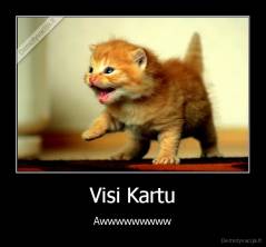 Visi Kartu - Awwwwwwwww