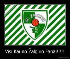 Visi Kauno Žalgirio Fanai!!!!! - 