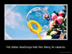 Visi dabar skaičiuoja kiek liko dienų iki vasaros. - 