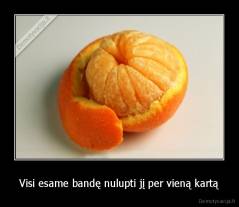 Visi esame bandę nulupti jį per vieną kartą - 