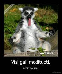 Visi gali medituoti, - net ir gyvūnai.