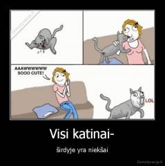Visi katinai- - širdyje yra niekšai