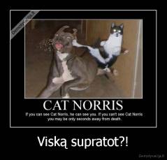 Viską supratot?! - 