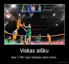 Viskas aišku - Kaip 1.78m ūgio žaidėjas siekia lanka..