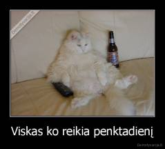 Viskas ko reikia penktadienį - 