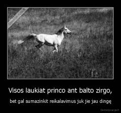 Visos laukiat princo ant balto zirgo, - bet gal sumazinkit reikalavimus juk jie jau dingę
