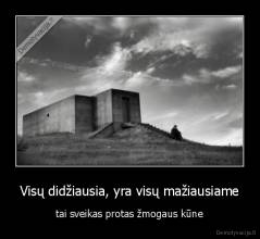 Visų didžiausia, yra visų mažiausiame - tai sveikas protas žmogaus kūne