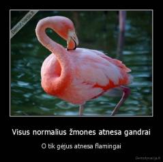 Visus normalius žmones atnesa gandrai - O tik gėjus atnesa flamingai