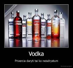 Vodka - Privercia daryti tai ko neisdrystum