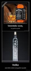 Vodka - vienintelė moteris kurią galima suprasti