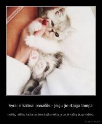 Vyrai ir katinai panašūs - jeigu jie staiga tampa - meilūs, reiškia, kad arba jiems kažko reikia, arba jie kažką jau prisidirbo.