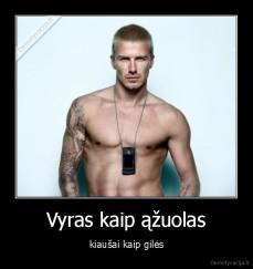 Vyras kaip ąžuolas - kiaušai kaip gilės