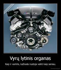 Vyrų lytinis organas - Kaip ir variklis, kažkada nustoja veikti kaip seniau.