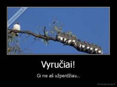 Vyručiai! - Gi ne aš užperdžiau..
