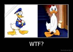 WTF? - 